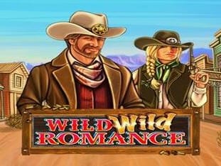Wild Wild Romance game thumbnail
