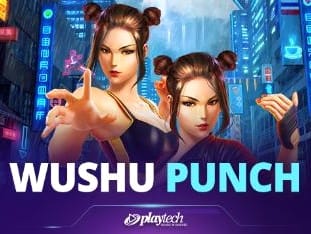Wushu Punch™ icon
